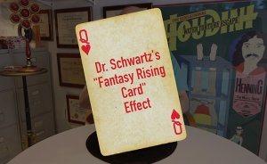 Dr. Schwartz Fantasy Rising Card