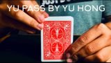 YU Pass by Yu Hong