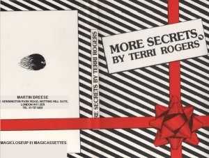 More Secrets by Terri Rogers