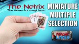 Craig Petty - Mini Multiple Selection (Netrix)