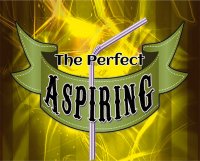 The Perfect Aspiring by Daniel Raley