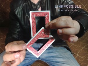 LINKPOSSIBLE by Patricio Teran (Instant Download)