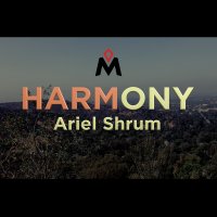 HARMONY by Ariel Shrum (Instant Download)