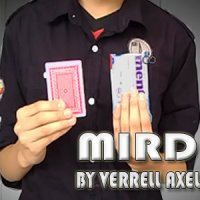 MIRD by Verrell Axel (Instant Download)