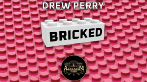 Bricked by Drew Perry