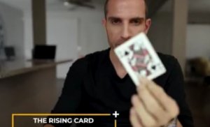 Rising Card by Stephane Vanel