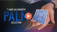 John Galsworthy - The Galsworthy Palm Collection