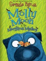 Molly Moon & the Morphing Mystery by Georgia Byng