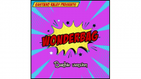 Wonderbag Barbie by Gustavo Raley (Online Instructions)