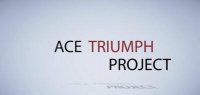 Ace Triumph by Denis Vasiliev